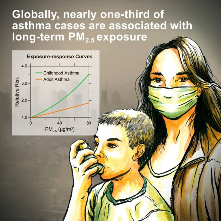 Bijna een derde van de astmapatiënten heeft last van langdurige blootstelling aan fijne deeltjes, blijkt uit wereldwijde studie