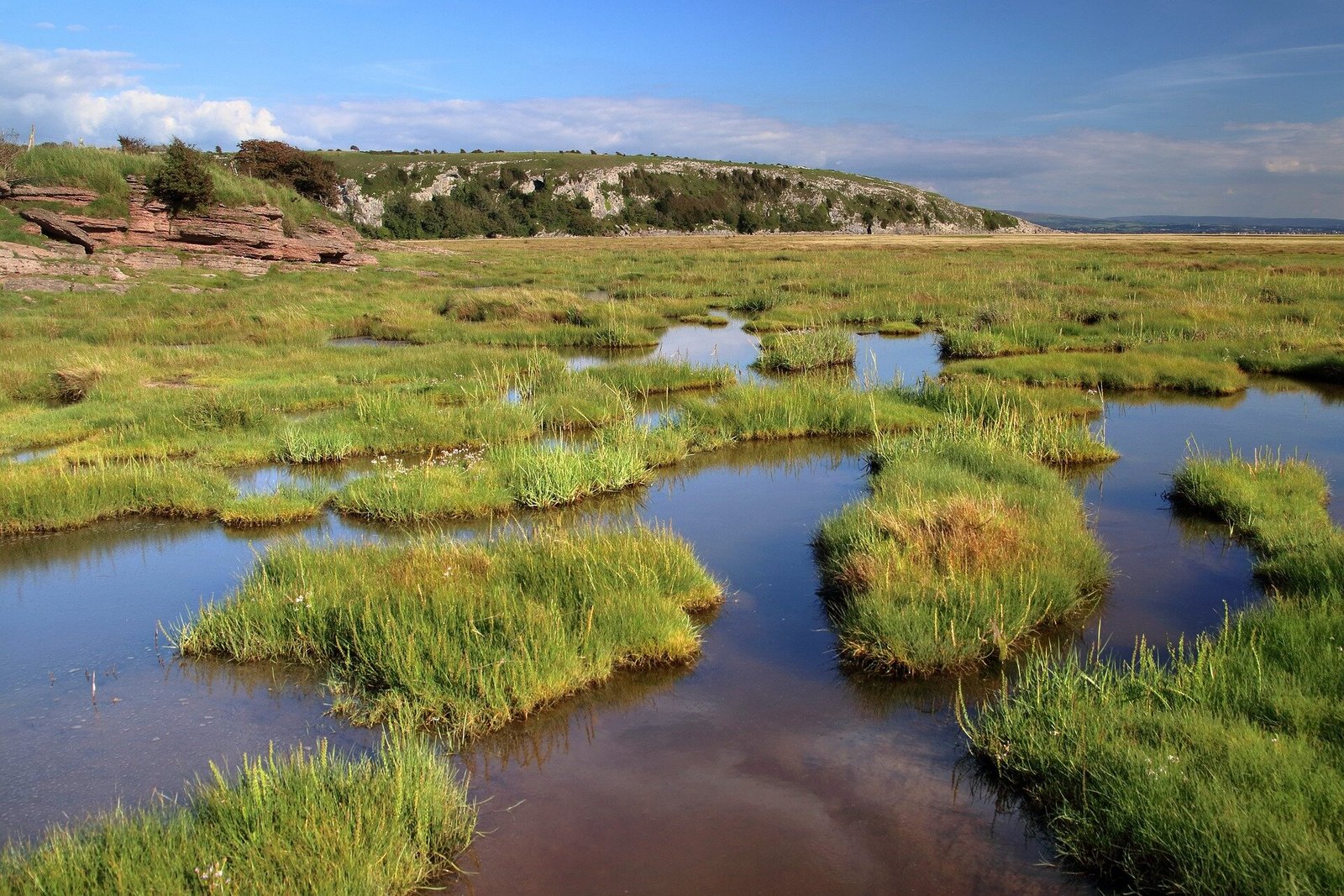 Onderzoek toont aan dat moerasgebieden kosteneffectieve bescherming van de kust bieden