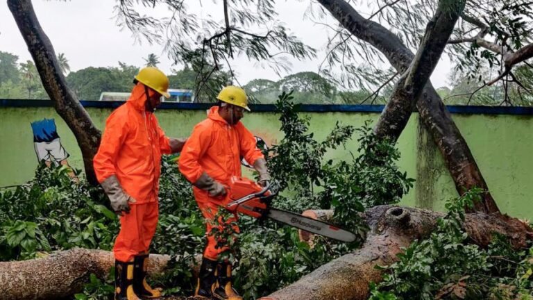 Overstromingsgevaar door Cycloon Dana in India: Hoogspanningslijnen en bomen omvergeblazen