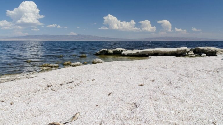 Salton Sea: Lithiumrijke Regio als Probleemgebied voor Kinderlijke Ademhalingsproblemen