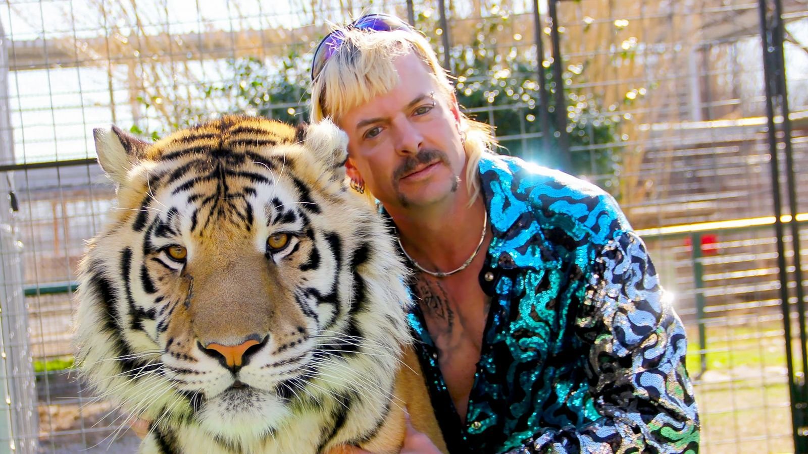 Tiger King Ster Aankondigt Huwelijksaanzoek in de Gevangenis