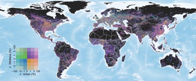 Analyse van satellietgegevens toont aan dat gebieden tussen natuur en stedelijke omgeving in de afgelopen twee decennia met 35% zijn toegenomen