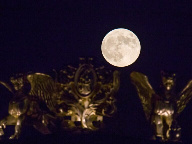 Bevermaan zal dit jaar de laatste supermaan in de lucht laten stralen: Wat je moet weten