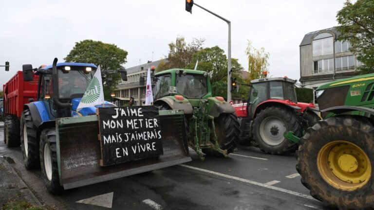 Boeren in Frankrijk protesteren tegen EU-Mercosur-deal: Mest, tractoren en boosheid