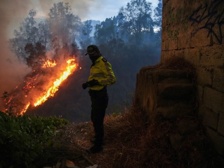 Ecuador roept 60 dagen noodtoestand uit om bosbranden te bestrijden