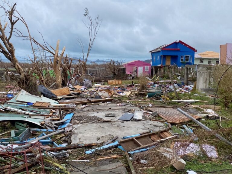 IMF en Wereldbank Moeten Worden Afgeschaft voor een Duurzamer Planeet