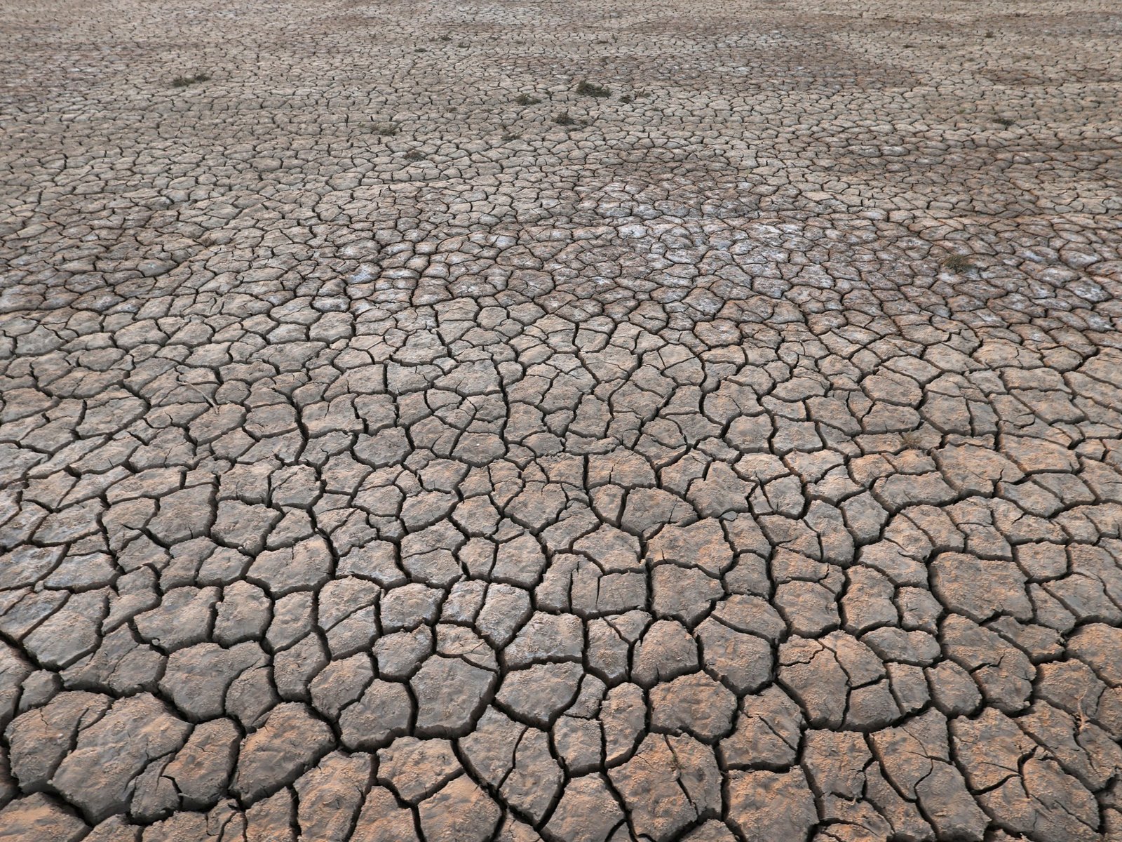 Jaar 2024 zal als eerste het 1,5°C opwarminglimiet overschrijden, volgens EU-klimaatagentschap