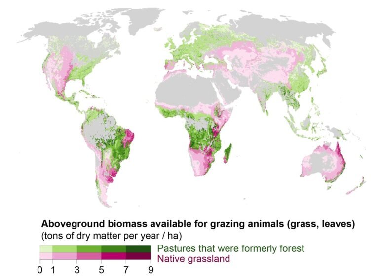 Kleine verminderingen van de vleesproductie in rijke landen kunnen bijdragen aan de bestrijding van klimaatverandering