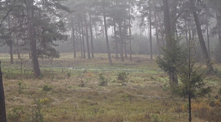 Laatste dag van rustige herfstweer; Regenachtig weekend en mogelijk natte sneeuw volgende week