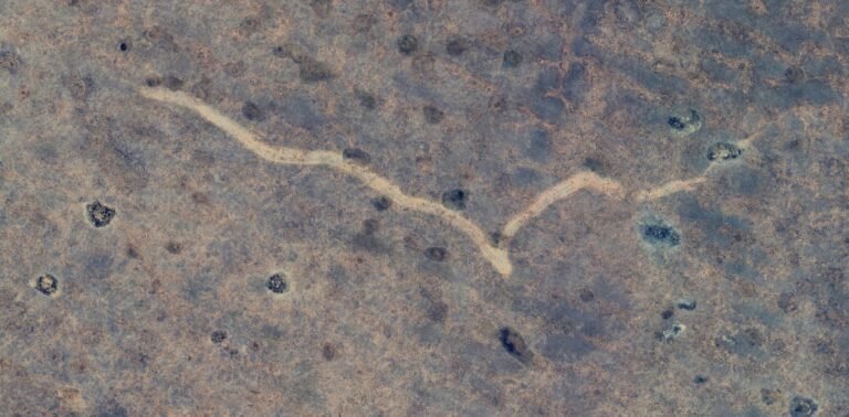 Man ontdekt mysterieuze kloof in de Australische outback via Google Earth: de oorzaak is nu bekend