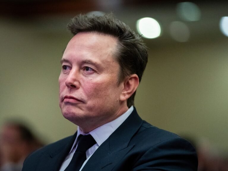 Musk en Ramaswamy presenteren ‘ingrijpende’ besparingen voor verbetering van de efficiëntie van de Amerikaanse overheid