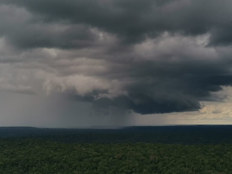 Neerslag veroorzaakt explosies van natuurlijke nanodeeltjes die wolken boven het Amazone-regenwoud kunnen vormen