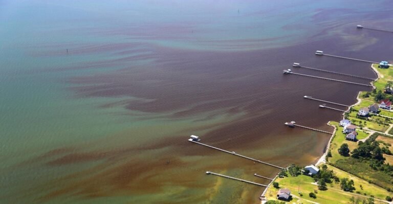 Onderzoek: Huidige modellen schatten toekomstige impact van klimaatverandering op dode zones in de Chesapeake Bay mogelijk te hoog in