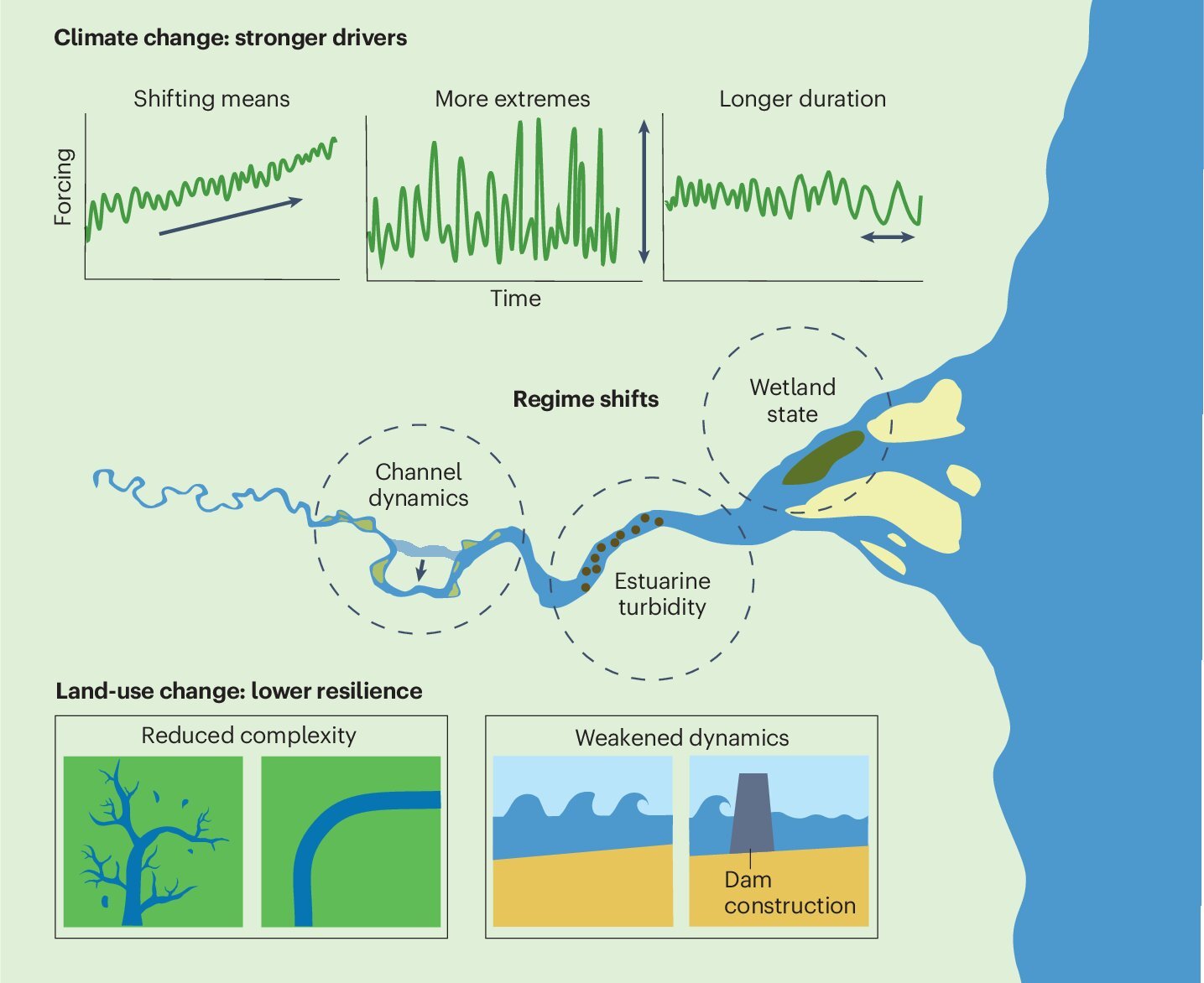 Onderzoekers richten zich op kantelpunten in rivierdelta's voor betere beheersing van overstromingsrisico's