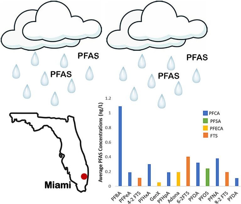 Regenwatermonsters Onthullen Aanwezigheid van 'Voor Altijd Chemikaliën' in Miami