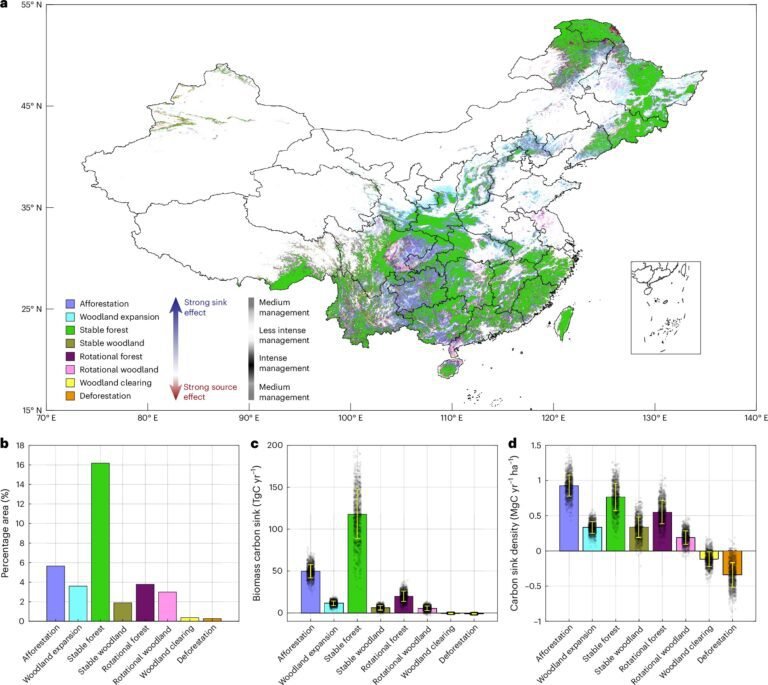 Satellietgegevens onderbouwen China's bewering van toegenomen herbebossing voor koolstofvastlegging