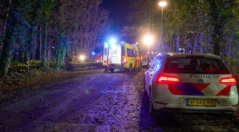 Storm Conall: 19-jarige vrouw omgekomen door omgevallen boom die op Gelderlandse fietser viel