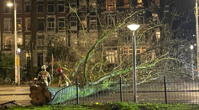 Storm Conall verlaat Nederland en laat achtergebleven bomen achter