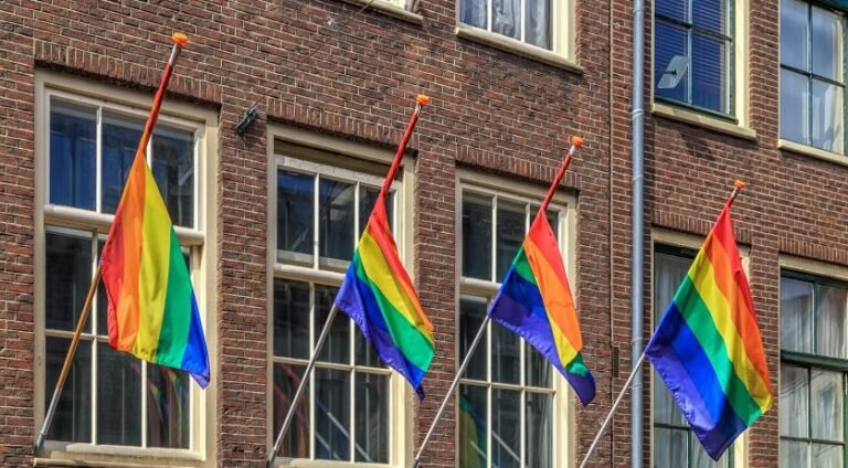 Toegenomen Acceptatie van Homoseksualiteit, Afname Gezien bij Andere LGBTIQA+ Groepen