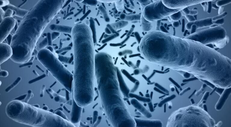 Toename van longontstekinggevallen door Legionella-bacteriën