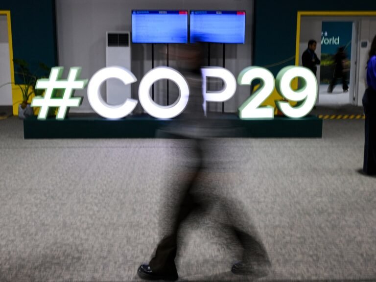 ‘Optische illusie’: Belangrijkste punten van COP29