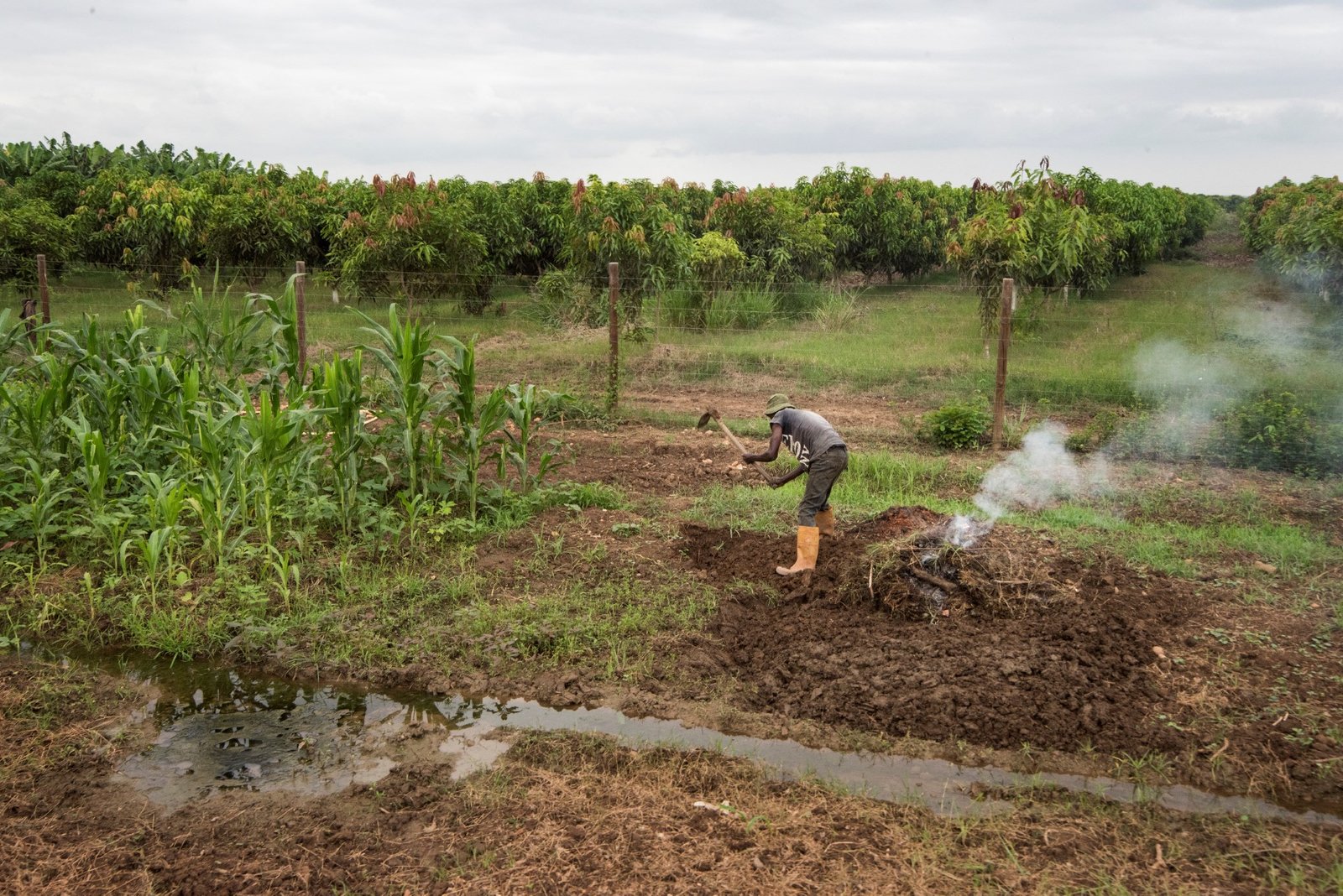 De weg naar welvaart in Angola ligt in zon en aarde, niet in olie