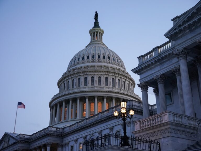 Democraten veroveren laatste zetel in het Amerikaanse Huis, verminderen Republikeinse meerderheid