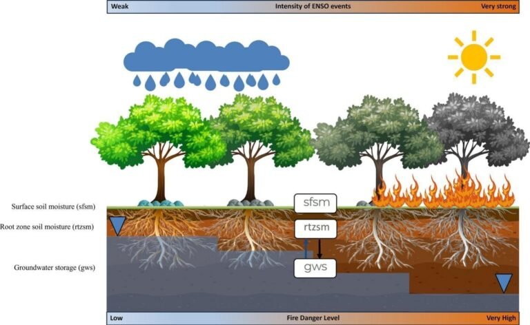 El Niño Versterkt Droogte-effecten op Amazonen Grondwater en Verhoogt Brandrisico, Onderzoek Toont Aan