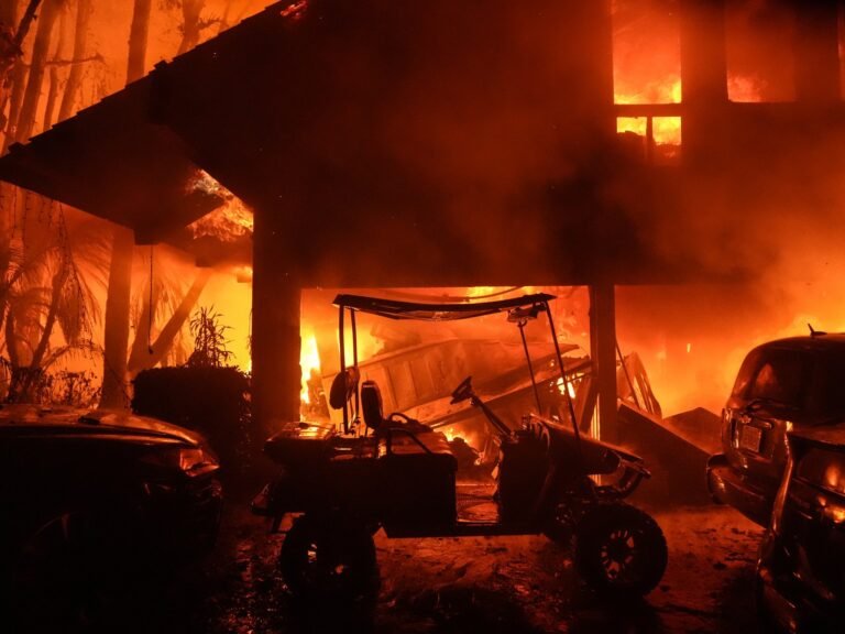 Foto's: Brandweerlieden in de VS bestrijden een bosbrand in Malibu, Californië