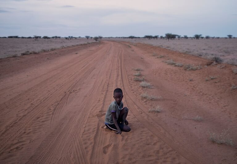 Foto's: De verwoestende droogte in Kenia is de ergste in 40 jaar