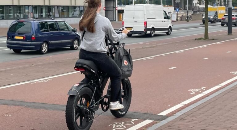 Minister Madlener krijgt tegenstand over voorgestelde e-bike regels