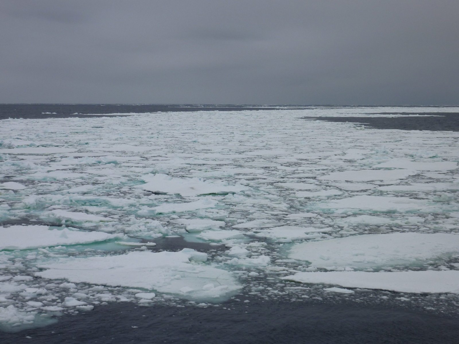 Onregelmatige ritmes van Antarctica wijzen op snelle smelting, volgens geowetenschappers