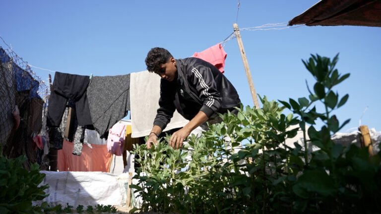 Palestijnse jongen verbouwt groenten voor de hongerigen in Gaza