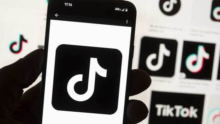 Trump vraagt Hoge Raad om TikTok-ban te pauzeren voor herziening van de 'merites' van de zaak