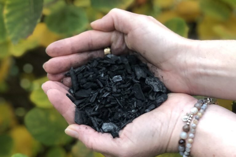 Biochar Vermindert Risico's van DDT-gecontamineerde Bodem