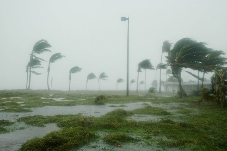 Bouwen aan Veerkracht: Risico Perceptie en Hurriane Voorbereiding in Florida