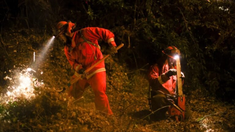 De Cruciale Rol van Gevangenen bij het Bestrijden van Branden in Californië