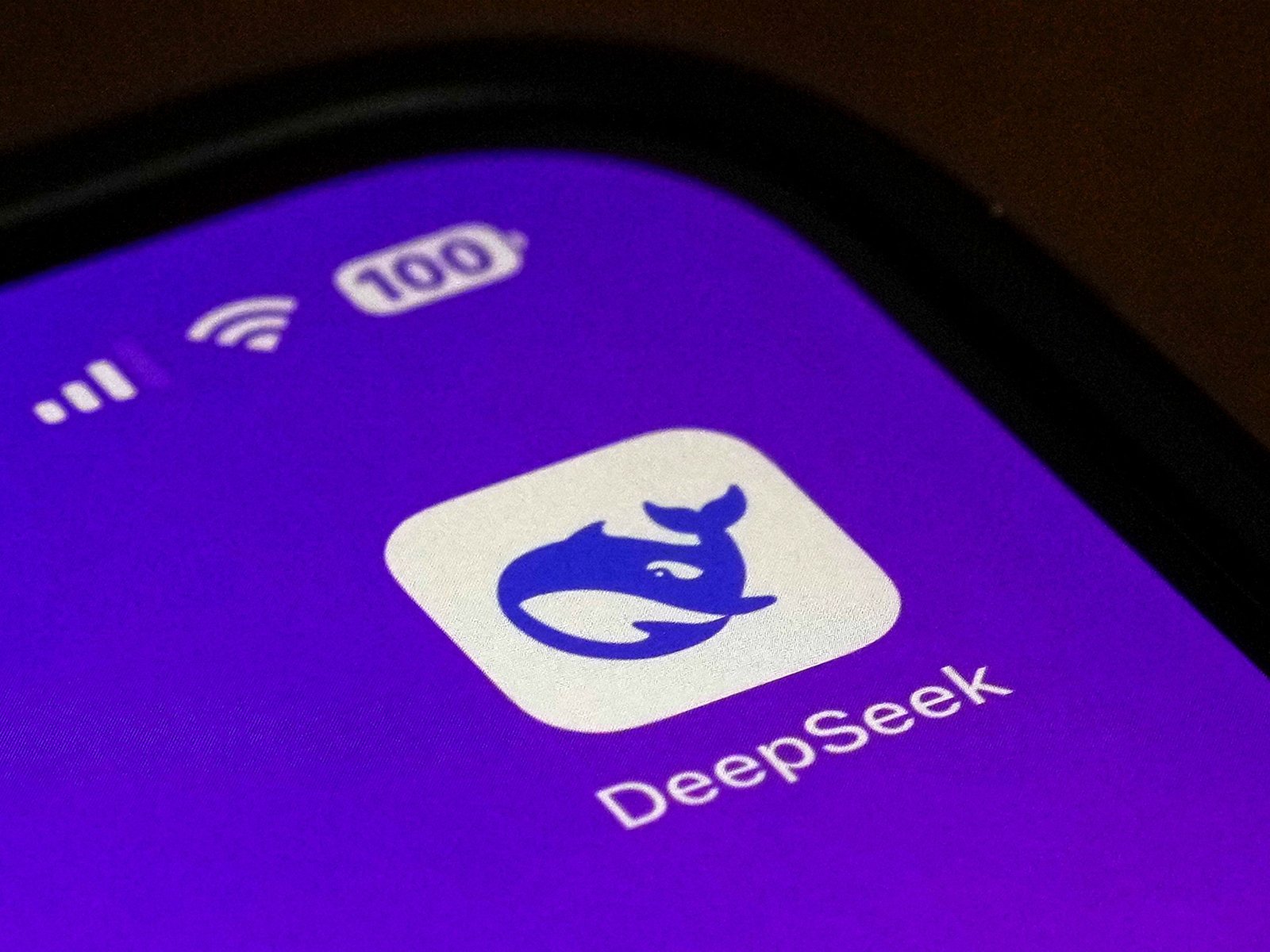 Diepe Verkenning: De Controverses Rondom DeepSeek's Gedurfde Claims