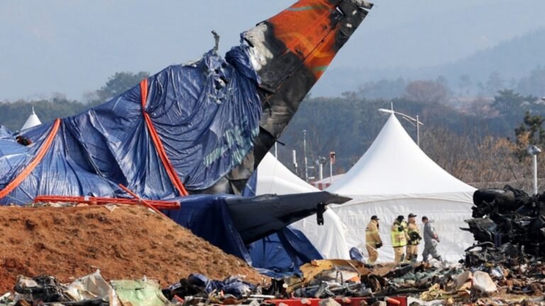 Duck-DNA en vogelveren ontdekt in ongelukkige Jeju Air-vliegtuigmotoren: Onderzoek