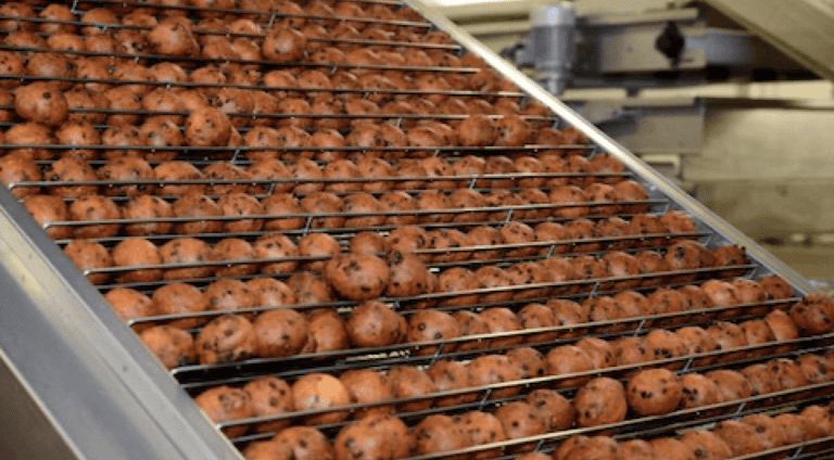 Fabriek in Sneek produceert 30.000 oliebollen per uur om aan de vraag tijdens de feestdagen te voldoen