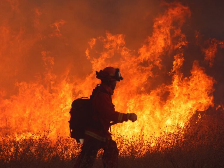 Foto's: Nieuwe bosbrand uitgebroken ten noorden van Los Angeles