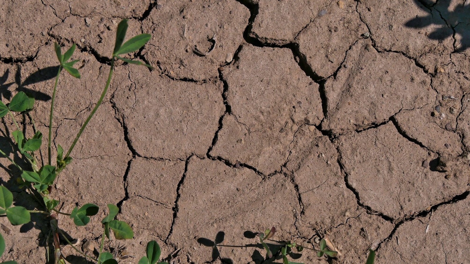 Grondwater bedreigd door droogtes en zware regenval, blijkt uit langdurige analyses