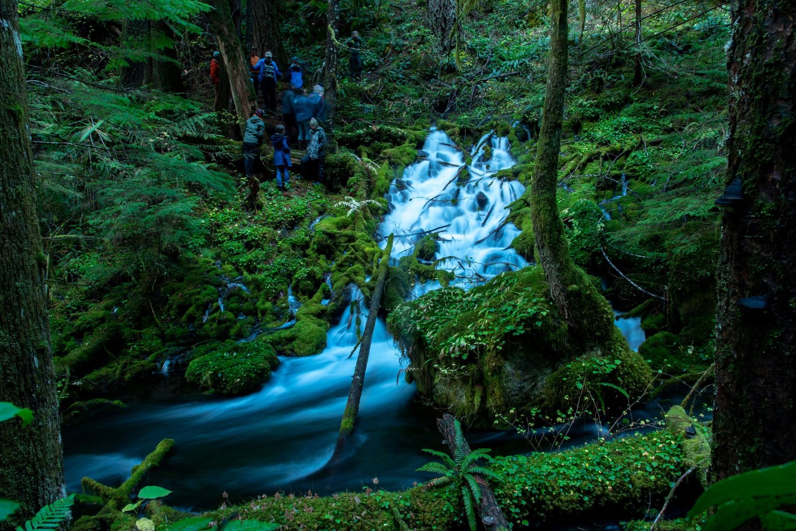 Grote Verborgen Aquifer Ontdekt in de Cascades van Oregon