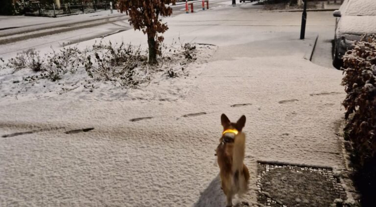 Landelijke waarschuwingen voor sneeuw en ijs; code oranje in Limburg en Brabant