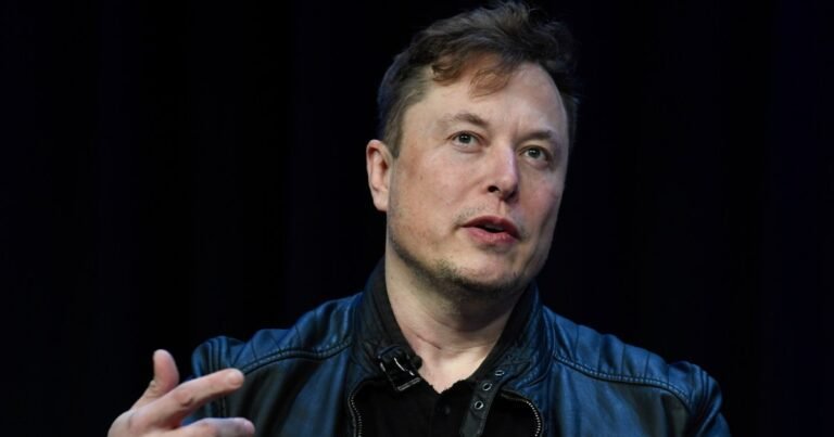 Musk roept op tot vrijlating van gevangen Britse extreemrechtse activist