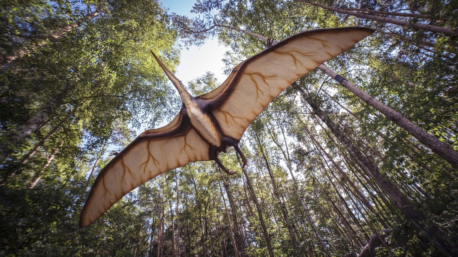 Nieuw bewijs wijst op overdreven rol van zwavel bij uitsterven van dinosauriërs