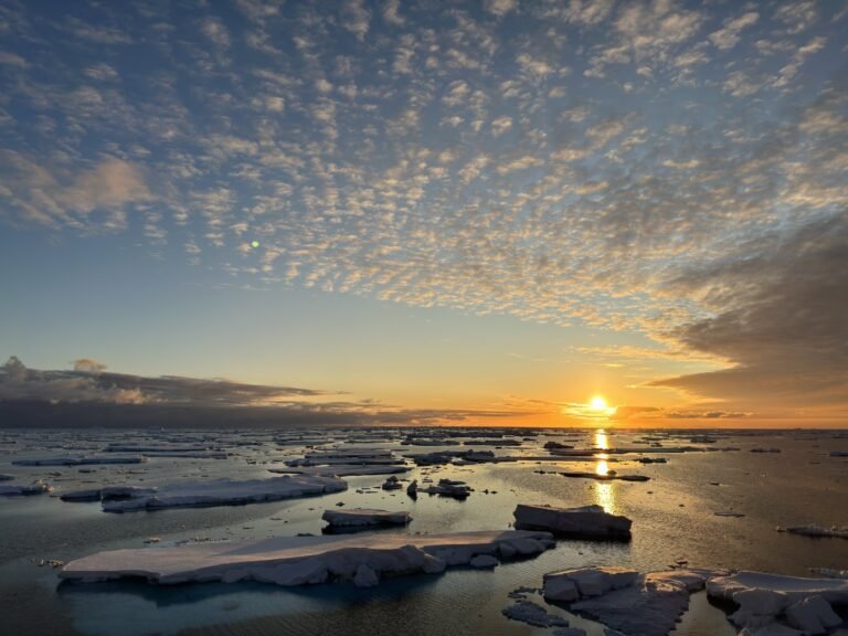 Oceanische Temperatuur Bereikt Recordhoogtes in 2024, Volgens Studie