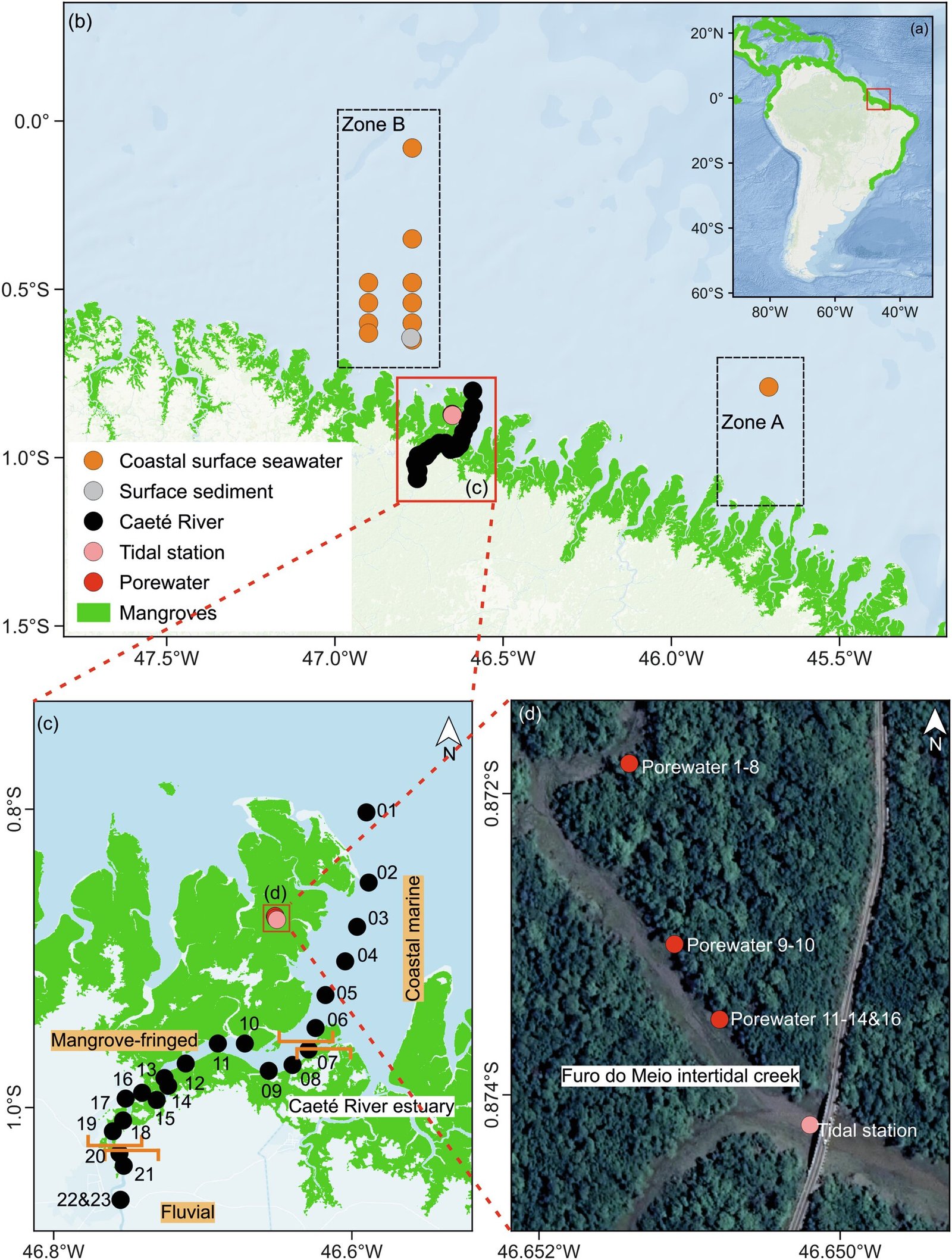 Onderzoek benadrukt de rol van mangrove-ecosystemen in wereldwijde biogeochemische cycli