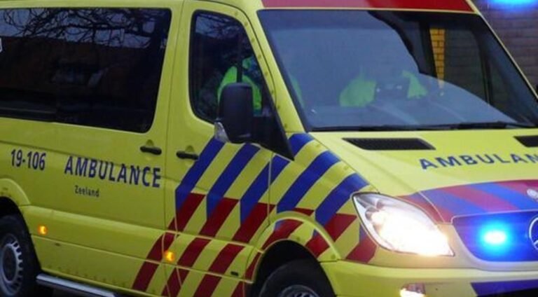 Oud echtpaar aangereden door bezorgbus tijdens wandeling in Capelle aan den IJssel; Beide overleden