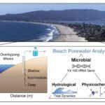 Strandbewakers: Hoe verborgen microben kustwateren beschermen in een veranderend klimaat